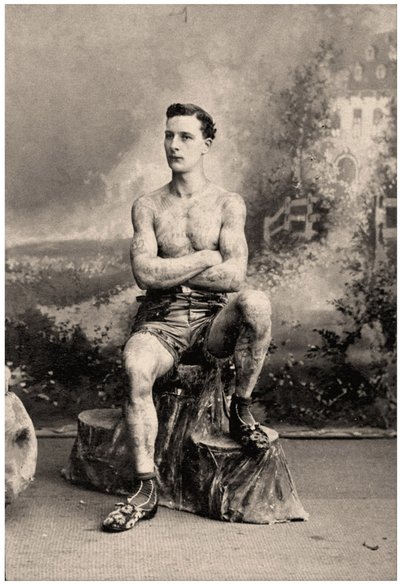 Portrait d